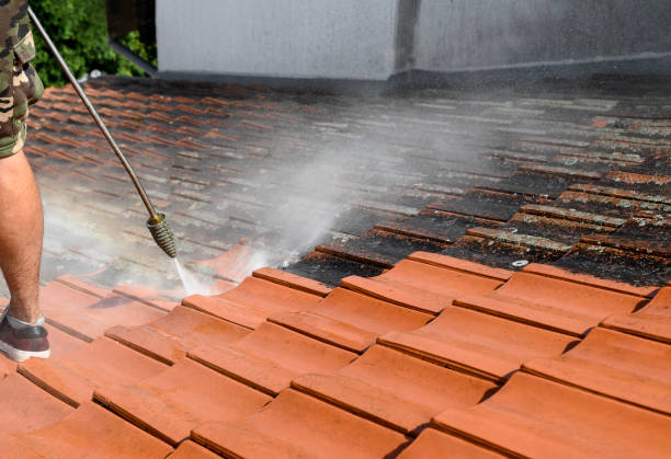 Best Local Pressure Washing Services  in Covgton, IN